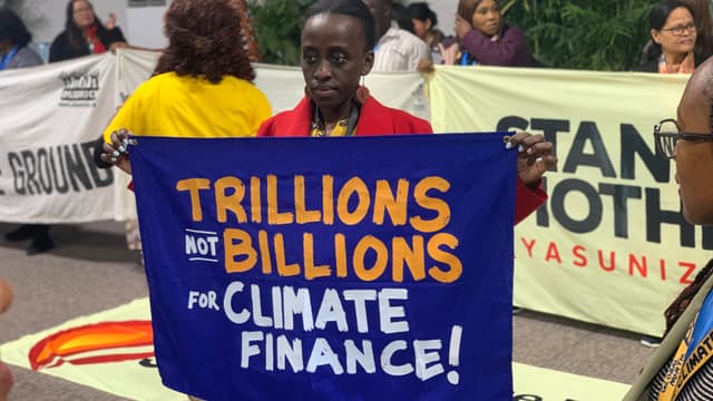 (115) Good COP, bad COP? Die Weltklimakonferenz und die Wissenschaft